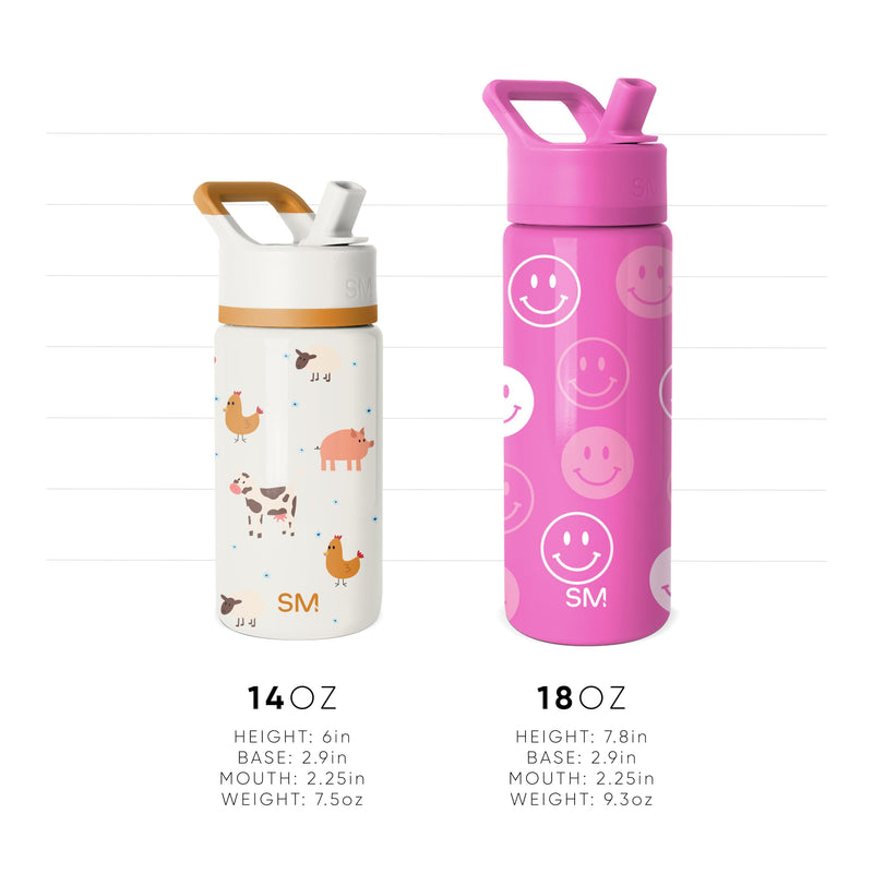 Simple Modern Kids Summit Water Bottle with Straw Lid | 14oz Stainless Steel Cup Insulated Tumbler for Toddlers, School | Pink Ballerina